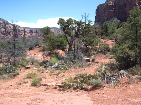 Sedona - Le Tour du Bell Rock Sedona - Le Tour du Bell Rock